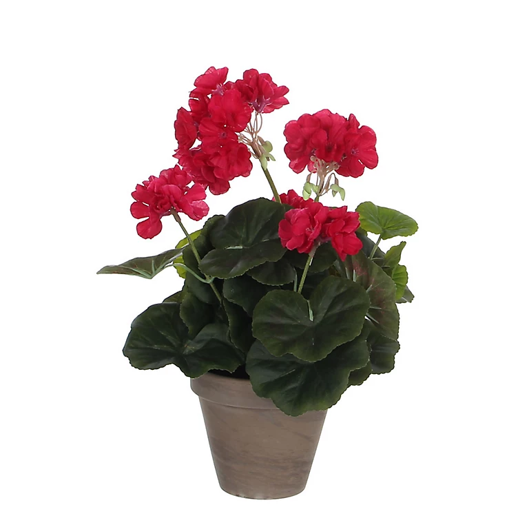 Castorama Geranium Rose Foncé Artificiel ø20 X H.34 Cm En Pot Stan Gris ø11,5 Cm 3 Castorama Geranium Rose Foncé Artificiel ø20 X H.34 Cm En Pot Stan Gris ø11,5 Cm