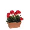 Castorama Geranium Rouge Articiciel En Jardinière Terra 29 X 13 X H.40 Cm -Terreau, gazon, traitement, végétal, semence Soldes Boutique geranium rouge articiciel en jardiniere terra 29 x 13 x h 40 cm8718861426625 01c FR CF