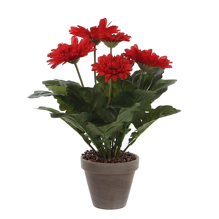 Castorama Gerbera Rouge Artificiel ø30 X H.35 Cm En Pot Stan Gris ø11,5 Cm 3 Castorama Gerbera Rouge Artificiel ø30 X H.35 Cm En Pot Stan Gris ø11,5 Cm