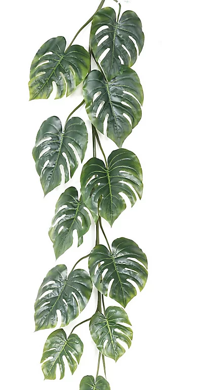 Castorama Guirlande De Philo Large Artificiel 3 Castorama Guirlande De Philo Large Artificiel