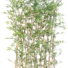 Castorama Haie Bambou Japanese Artificiel H.160 Cm -Terreau, gazon, traitement, végétal, semence Soldes Boutique haie bambou japanese artificiel h 160 cm3700543510222 01c FR CF