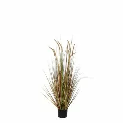 Castorama Herbe Panache Dogtail Artificiel En Pot Vert ø35 X H.92 Cm
