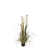 Castorama Herbe Panache Foxtail Vert Artificiel En Pot Plastique ø45 X H.120 Cm 1 Castorama Herbe Panache Foxtail Vert Artificiel En Pot Plastique ø45 X H.120 Cm -Terreau, gazon, traitement, végétal, semence Soldes Boutique herbe panache foxtail vert artificiel en pot plastique 45 x h 120 cm8717669651291 01c FR CF