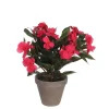 Castorama Impatiens Rose Artificiel En Pot Stan Gris ø13,5 X H.32 Cm 2 Castorama Impatiens Rose Artificiel En Pot Stan Gris ø13,5 X H.32 Cm -Terreau, gazon, traitement, végétal, semence Soldes Boutique impatiens rose artificiel en pot stan gris 13 5 x h 32 cm8717669466246 01c FR CF