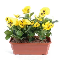 Castorama Jardinière Pensée Artificielle 2 Piquets