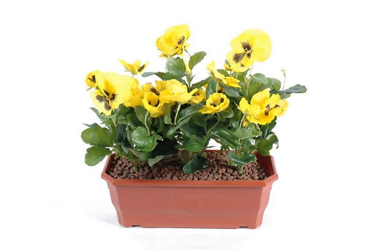 Castorama Jardinière Pensée Artificielle 2 Piquets 3 Castorama Jardinière Pensée Artificielle 2 Piquets