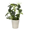 Castorama Jasmin En Pot Céramique 12 Cm -Terreau, gazon, traitement, végétal, semence Soldes Boutique jasmin en pot ceramique 12 cm3663602314127 02c