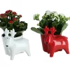Castorama Kalanchoe Avec Pot Rennes 12 Cm -Terreau, gazon, traitement, végétal, semence Soldes Boutique kalanchoe avec pot rennes 12 cm5059340138299 01c