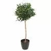 Castorama Laurier Boule Artificiel H.150 Cm -Terreau, gazon, traitement, végétal, semence Soldes Boutique laurier boule artificiel h 150 cm3700543505952 01c FR CF