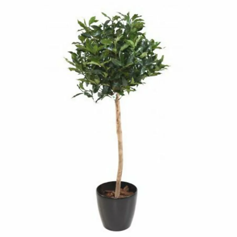 Castorama Laurier Boule Artificiel H.150 Cm 3 Castorama Laurier Boule Artificiel H.150 Cm
