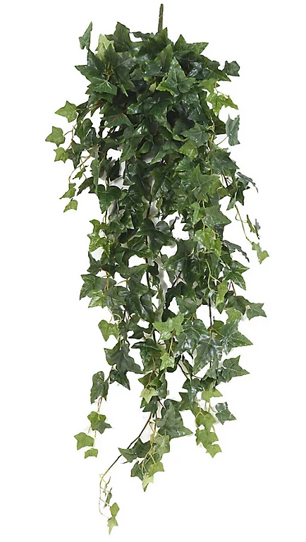 Castorama Lierre Anglais Chute Artificiel H.120 Cm 3 Castorama Lierre Anglais Chute Artificiel H.120 Cm