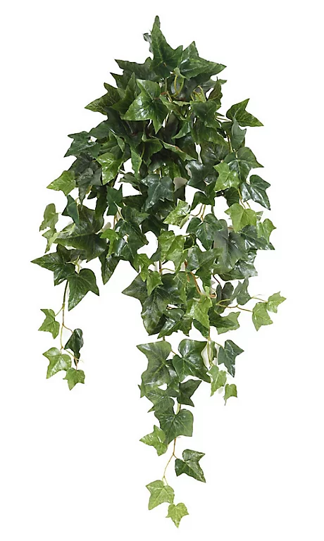 Castorama Lierre Anglais Chute Artificiel H.80 Cm 3 Castorama Lierre Anglais Chute Artificiel H.80 Cm