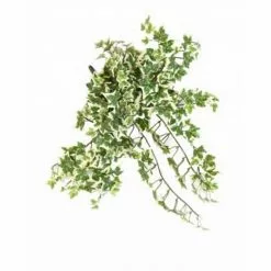 Castorama Lierre Artificiel 308 H.35 Cm