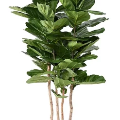 Castorama Lyrata Multi Artificiel