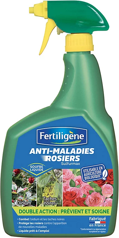 Castorama Maladie Rosier Prêt à L'emploi Fertiligène 800ml 3 Castorama Maladie Rosier Prêt à L'emploi Fertiligène 800ml