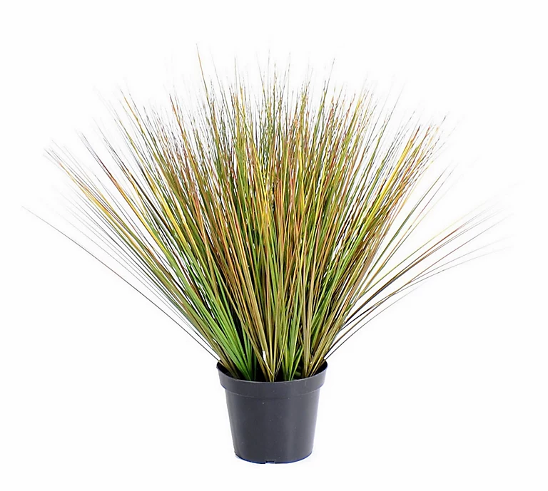 Castorama Onion Grass Round Artificiel H.60 Cm 3 Castorama Onion Grass Round Artificiel H.60 Cm