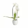 Castorama Orchidée Grandiflora Blanche 1 Tige Avec Pot En Céramique 14cm 2 Castorama Orchidée Grandiflora Blanche 1 Tige Avec Pot En Céramique 14cm -Terreau, gazon, traitement, végétal, semence Soldes Boutique orchidee grandiflora blanche 1 tige avec pot en ceramique 14cm5059340052359 01c