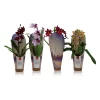Castorama Orchidée Mix 1 Tige Cascade 1 Castorama Orchidée Mix 1 Tige Cascade -Terreau, gazon, traitement, végétal, semence Soldes Boutique orchidee mix 1 tige cascade5059340186887 01c FR CF