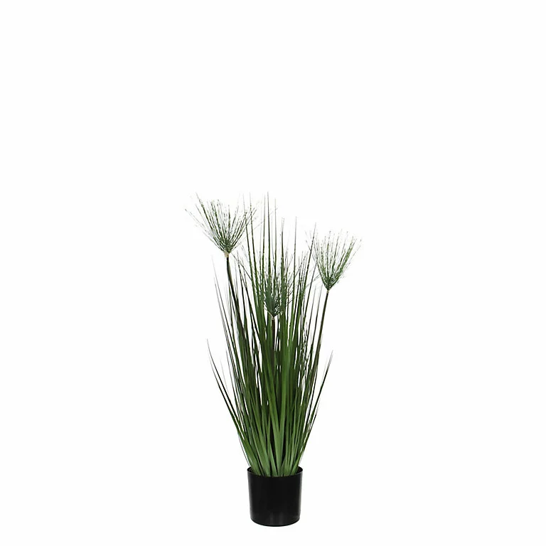 Castorama Papyrus Artificiel En Pot Plastique Vert ø12,5 X H.76 Cm 3 Castorama Papyrus Artificiel En Pot Plastique Vert ø12,5 X H.76 Cm