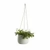 Castorama Peperomia, Pot En Céramique Suspendu, 13cm 1 Castorama Peperomia, Pot En Céramique Suspendu, 13cm -Terreau, gazon, traitement, végétal, semence Soldes Boutique peperomia pot en ceramique suspendu 13cm3663602497332 02c