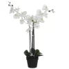 Castorama Phalaenopsis Artificiel En Pot Plastique Blanc 75 X 51x H.79 Cm 1 Castorama Phalaenopsis Artificiel En Pot Plastique Blanc 75 X 51x H.79 Cm -Terreau, gazon, traitement, végétal, semence Soldes Boutique phalaenopsis artificiel en pot plastique blanc 75 x 51x h 79 cm8718861420265 01c FR CF