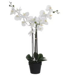 Castorama Phalaenopsis Artificiel En Pot Plastique Blanc 75 X 51x H.79 Cm