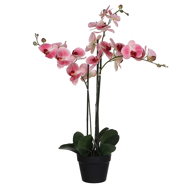 Castorama Phalaenopsis Artificiel En Pot Plastique Rose 75 X 51x H.79 Cm 3 Castorama Phalaenopsis Artificiel En Pot Plastique Rose 75 X 51x H.79 Cm