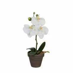 Castorama Phalaenopsis Blanc Artificiel ø12 X H.26 Cm En Pot Stan Gris ø9 Cm