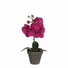Castorama Phalaenopsis Violet Artificiel ø12 X H.26 Cm En Pot Stan Gris ø9 Cm 2 Castorama Phalaenopsis Violet Artificiel ø12 X H.26 Cm En Pot Stan Gris ø9 Cm -Terreau, gazon, traitement, végétal, semence Soldes Boutique phalaenopsis violet artificiel 12 x h 26 cm en pot stan gris 9 cm8712799352896 01c FR CF