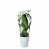 Castorama Phalenopsis Pot Cascade 9 Cm 2 Castorama Phalenopsis Pot Cascade 9 Cm -Terreau, gazon, traitement, végétal, semence Soldes Boutique phalenopsis pot cascade 9 cm5059340138404 02c