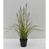 Castorama Pot Acorus Fleuri Artificiel 1 Castorama Pot Acorus Fleuri Artificiel -Terreau, gazon, traitement, végétal, semence Soldes Boutique pot acorus fleuri artificiel3700543507291 01c FR CF