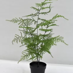 Castorama Pot Aspargus Artificiel H.45 Cm