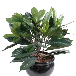 Castorama Pot Cyathistipula Artificiel