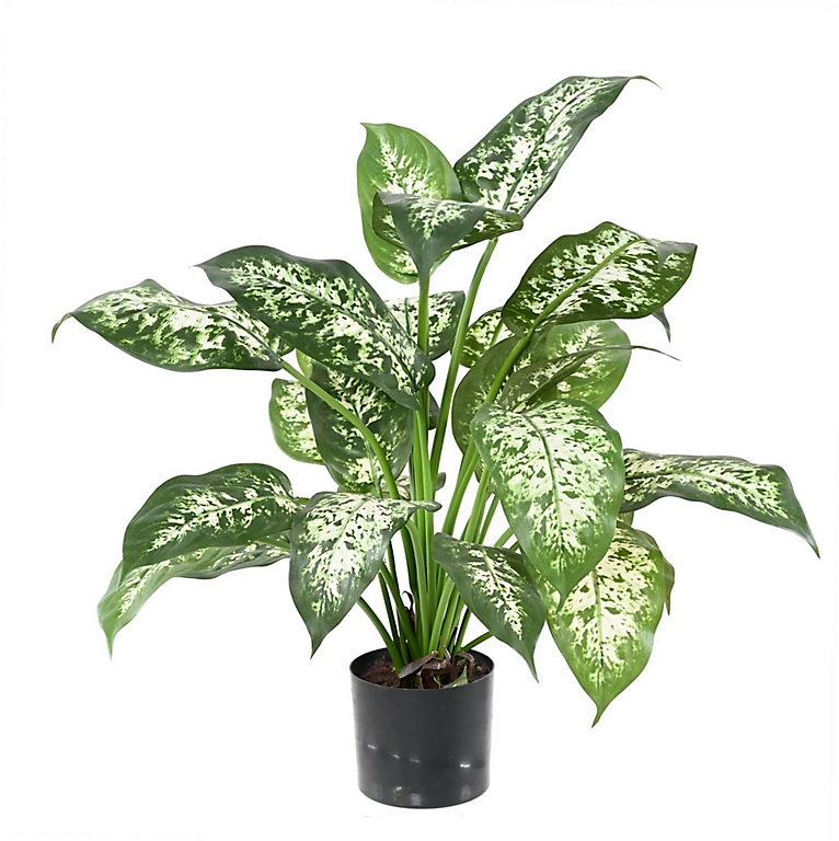 Castorama Pot Dieffenbachia Artificiel 3 Castorama Pot Dieffenbachia Artificiel