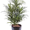 Castorama Pot Dracaena Anita Artificiel -Terreau, gazon, traitement, végétal, semence Soldes Boutique pot dracaena anita artificiel3700543513414 01c FR CF