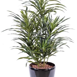 Castorama Pot Dracaena Anita Artificiel