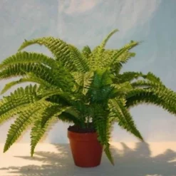 Castorama Pot Fougère Artificielle H.60 Cm