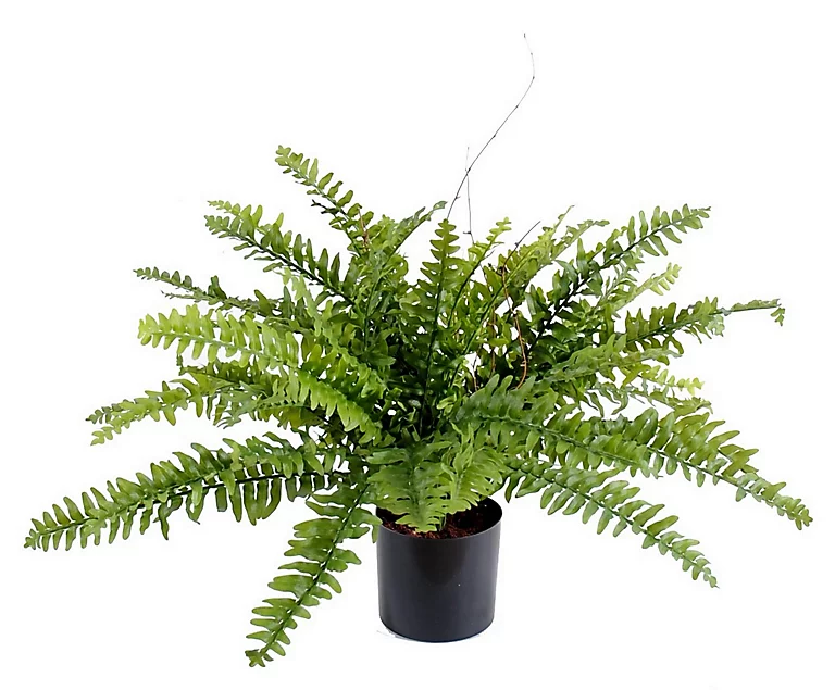 Castorama Pot Fougère Boston Artificielle H.42 Cm 3 Castorama Pot Fougère Boston Artificielle H.42 Cm