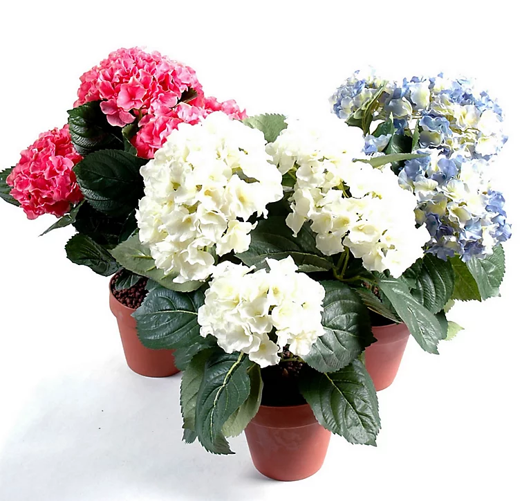 Castorama Pot Hortensia Artificiel 5 Têtes 3 Castorama Pot Hortensia Artificiel 5 Têtes