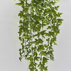 Castorama Pot Lierre 68