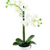 Castorama Pot Phalaenopsis Artificiel 2 1 Castorama Pot Phalaenopsis Artificiel 2 -Terreau, gazon, traitement, végétal, semence Soldes Boutique pot phalaenopsis artificiel 23700543519089 01c FR CF