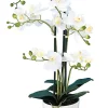 Castorama Pot Phalaenopsis Artificiel 5 1 Castorama Pot Phalaenopsis Artificiel 5 -Terreau, gazon, traitement, végétal, semence Soldes Boutique pot phalaenopsis artificiel 53700543519065 01c FR CF