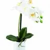 Castorama Pot Phalaenopsis Artificiel 1 Castorama Pot Phalaenopsis Artificiel -Terreau, gazon, traitement, végétal, semence Soldes Boutique pot phalaenopsis artificiel3700543519096 01c FR CF