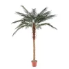Castorama Pot Phoenix Palm H.210 Cm 2 Castorama Pot Phoenix Palm H.210 Cm -Terreau, gazon, traitement, végétal, semence Soldes Boutique pot phoenix palm h 210 cm3700543516453 01c FR CF