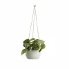 Castorama Pothos Tacheté, Pot En Céramique Suspendu, 13cm -Terreau, gazon, traitement, végétal, semence Soldes Boutique pothos tachete pot en ceramique suspendu 13cm3663602497325 02c