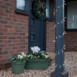 Castorama Primevère Assortiment En Pot 10,5 Cm