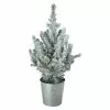 Castorama Sapin Avec Pot En Zinc 13 Cm 1 Castorama Sapin Avec Pot En Zinc 13 Cm -Terreau, gazon, traitement, végétal, semence Soldes Boutique sapin avec pot en zinc 13 cm5059340138442 02c