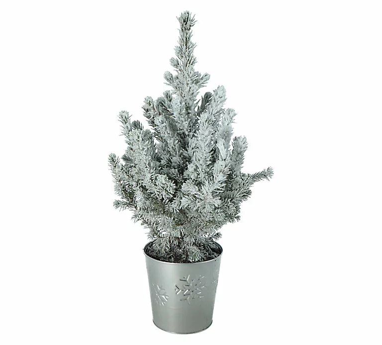 Castorama Sapin Avec Pot En Zinc 13 Cm 3 Castorama Sapin Avec Pot En Zinc 13 Cm