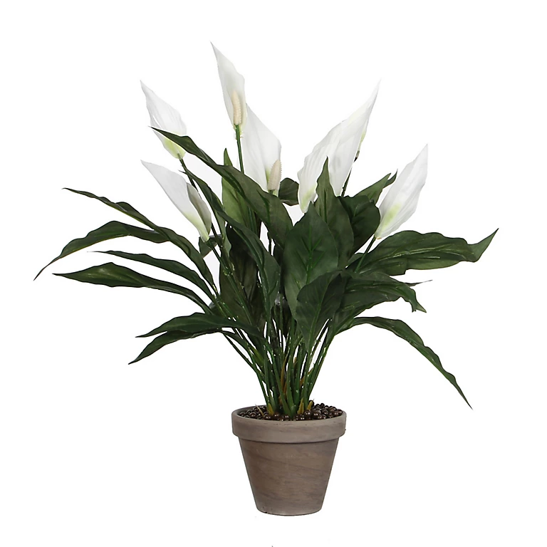 Castorama Spathiphyllum Blanc Artificiel ø40 X H.50 Cm En Pot Stan Gris ø11,5cm 3 Castorama Spathiphyllum Blanc Artificiel ø40 X H.50 Cm En Pot Stan Gris ø11,5cm