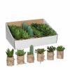 Castorama Succulente Artificiel En Pot Vert 6 Assorti ø5 X H.12 Cm -Terreau, gazon, traitement, végétal, semence Soldes Boutique succulente artificiel en pot vert 6 assorti 5 x h 12 cm8718861260632 01c FR CF